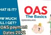 OAS Payment Dates 2022: How much will CPP and OAS increase in 2022 OAS payment dates 2022