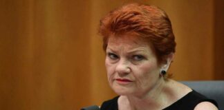 Pauline Hanson net worth