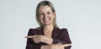 Sussan Ley net worth