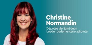Christine Normandin net worth